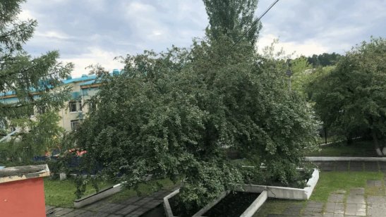 Пансионат «Успенский» филиал «Солнечный» фото