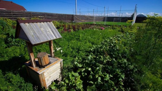 Пансионат «Успенский» филиал «Чкаловский» фото 4