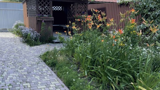 Пансионат «Вдохновение» Ковровый фото 6